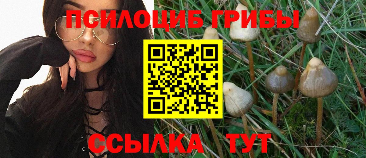 Псилоцибиновые грибы GOLDEN TEACHER Псков