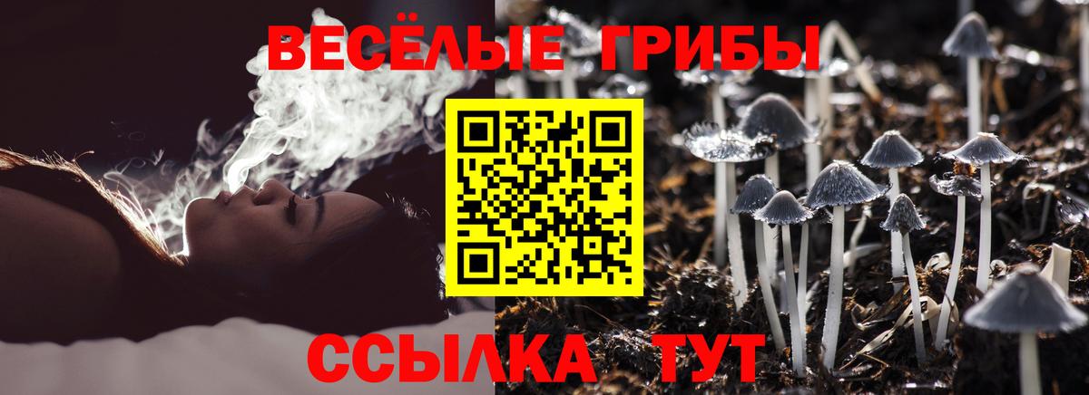 Галлюциногенные грибы ЛСД  Вход с VPN  Псков  Галлюциногенные грибы прущие грибы 